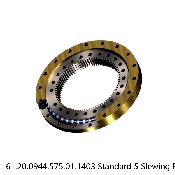 61.20.0944.575.01.1403 Standard 5 Slewing Ring Bearings