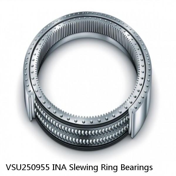 VSU250955 INA Slewing Ring Bearings #1 small image