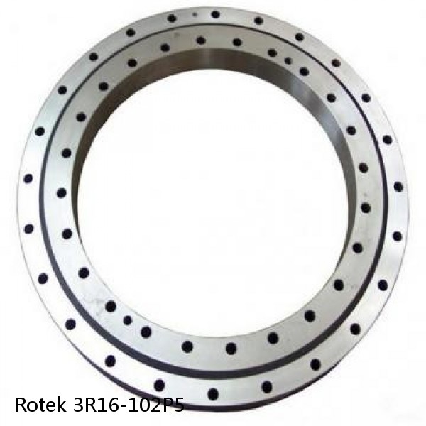 3R16-102P5 Rotek Slewing Ring Bearings #1 small image