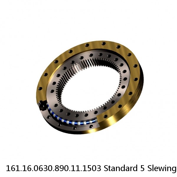 161.16.0630.890.11.1503 Standard 5 Slewing Ring Bearings