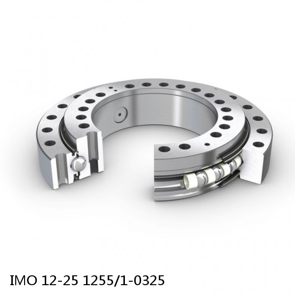 12-25 1255/1-0325 IMO Slewing Ring Bearings #1 image