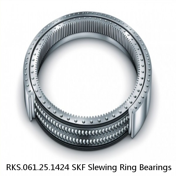 RKS.061.25.1424 SKF Slewing Ring Bearings #1 image