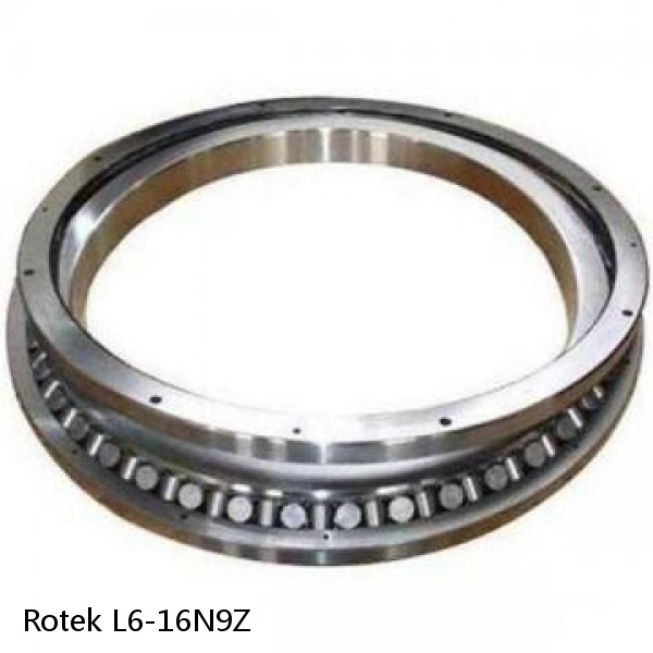 L6-16N9Z Rotek Slewing Ring Bearings #1 image