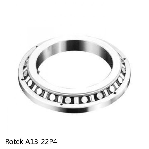 A13-22P4 Rotek Slewing Ring Bearings #1 image