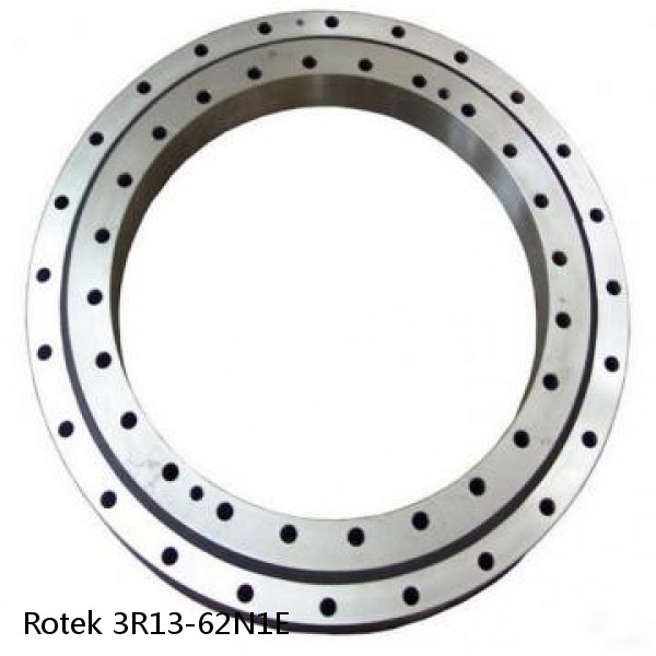 3R13-62N1E Rotek Slewing Ring Bearings #1 image