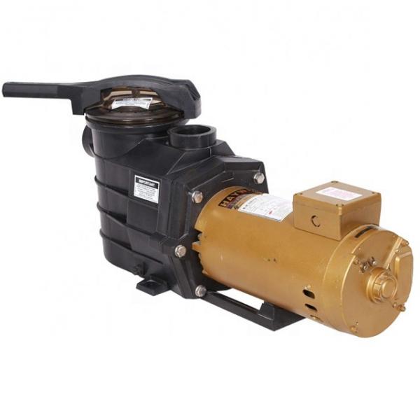 REXROTH R901100223 ABUPG-PVV4- 98U-1X/132M-4-B1K/SE SIE Vane pump #1 image