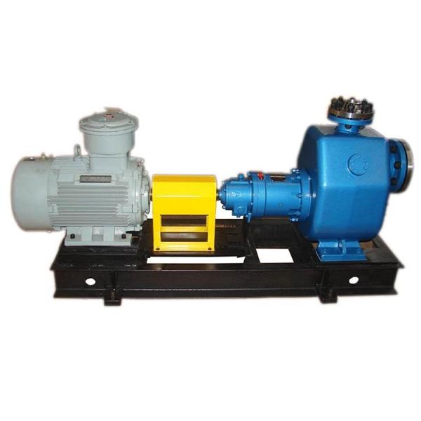 REXROTH R901057121 PVV51-1X/193-046RA15DDMC Vane pump #1 image